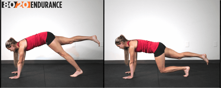 4 point knee eccentric