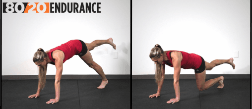 4 point knee eccentric 2