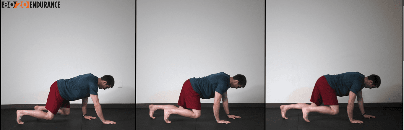 bear crawl