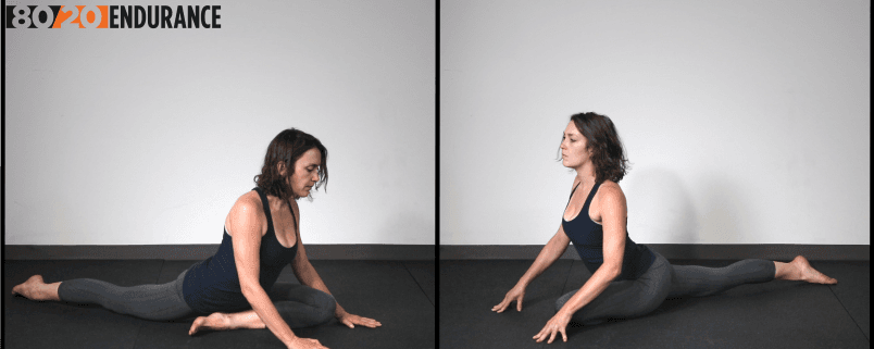 pigeon 2