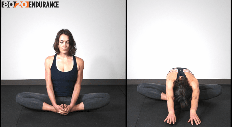 butterfly forward fold