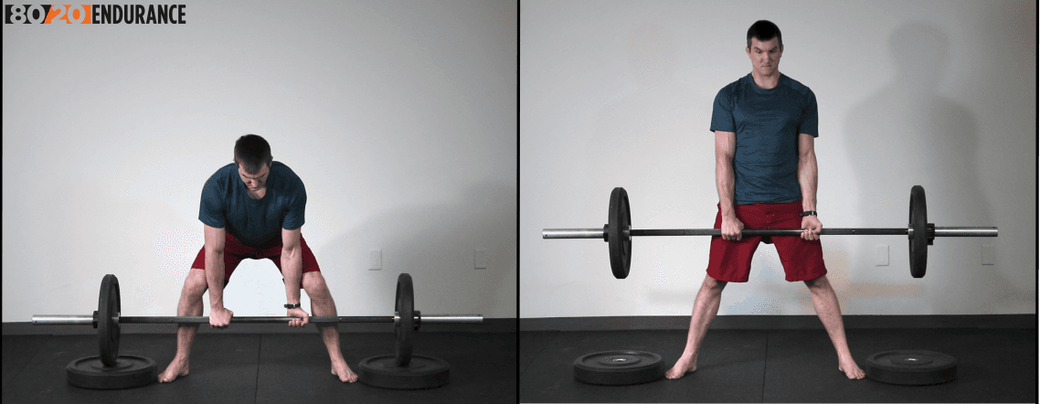 elevated sumo