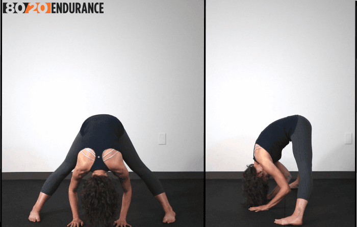 hamstring forward bend