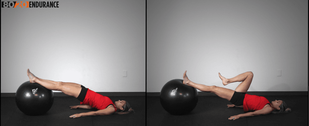 hamstring isometric swiss ball
