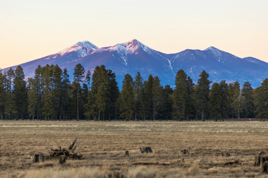 Meet Me in Flagstaff