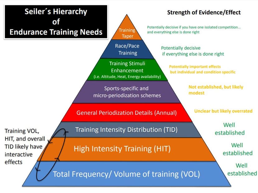 Hierarchy of Endurance Training Needs by Stephen Seiler